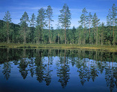 Naturlandskap, Finland