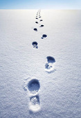 Fotspår i snö