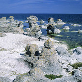 Raukar, Gotland