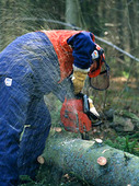 Skogsarbetare