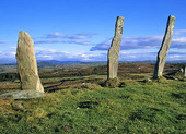 Bauta stones, Ireland