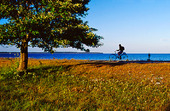 Cykelstig vid havet, Gotland