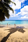 Strand på Martinique