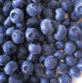 Bilberry, blueberry
