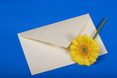 Flower with a envelope
