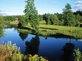 Landskap vid Uddebo, Småland