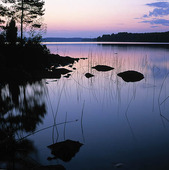 Lake in dusk