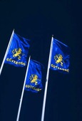 Göteborgsflaggor