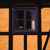 Window on the half-timbered