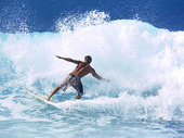 Surfing in Hawaii, USA