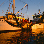 Havsfiske, Bohuslän