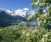 Naturlandskap, Norge