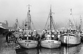 Göteborgs Fiskhamn 1960-talet