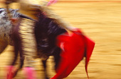 Bullfight, Spain