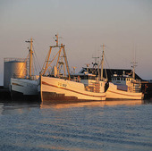 Fishing boats in port Varberg, Halland