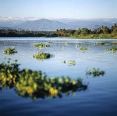 Lagunen vid  Bacalar, Mexico