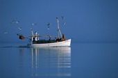 Gotländsk fiskebåt