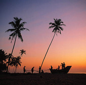 Fiskare skymning, Sri Lanka