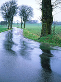 Regnig landsväg