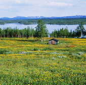 Landskap, Lappland