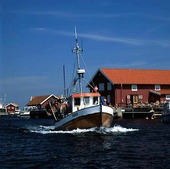 Fskebåt i Kostersundet, Bohuslän