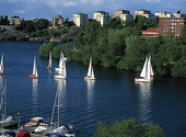 Sailboats, Stockholm