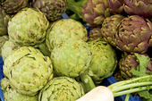 Freshly harvested artichokes on display at the farmers market 