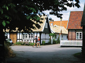 Viken, Skåne