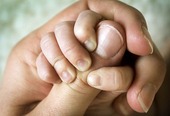 Children Hand in the adult hand