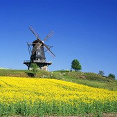 Windmill, Skåne