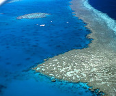 Stora Barriärrevet, Australien