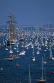 Tall Ships Race, Gothenburg