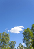 Ett moln på blå himmel