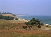 Coastal Landscape in Skåne