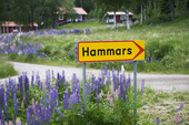 Hammars i Östansjö, Hälsingland